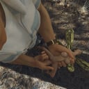 Fingering a Woodland Fairy AMTVR vr porn video vrporn.com virtual reality