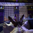 Overwatch - Stocking the Shelves DarkDreams vr porn video