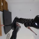 Face Sitting And Spit Domme Cate McQueen JimmyDraws vr porn video