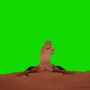 Passthrough Doggy Missionary Compilation VR pornnow vr porn video