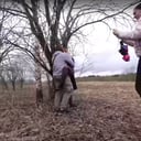 Outdoors Crazy Girl VRXClouds vr porn video