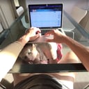 The Secret Behind Trading Sakura Virtual Papi vr porn video