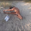 Giorgina Villa Whispers Of The Wind PlushiesTV vr porn video