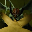 Baldur's Gate - Loophole Blowjob (A XXX Parody) full video