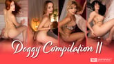 Doggy Compilation: 2
