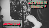 [Gay] Animal Heat