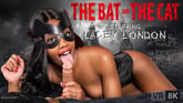 The Bat And The Cat