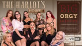 The Harlot’s House: Black Friday in Europe Part 1