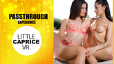 Top Models Bring You to the Maximum [Passthrough]