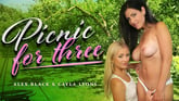 Picnic For Three - Outdoor Threesome