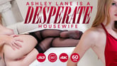 Ashley Lane Is A Desperate Housewife