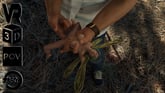 Fingering a Woodland Fairy