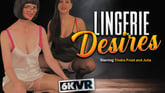 Lingerie Desires