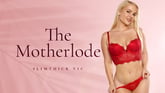 The Motherlode