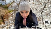 Fast Action With Paula Shy