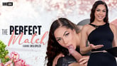 [Trans] The Perfect Match