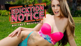Edicktion Notice - Energetic Slut [Leaving Soon]