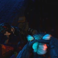 DC Comics - Harley and Catwoman in, "The Competition" DarkDreams vr porn video vrporn.com virtual reality