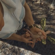 Fingering a Woodland Fairy AMTVR vr porn video vrporn.com virtual reality