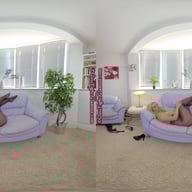 Chelsea Bra With Plum Glossy Tights porn