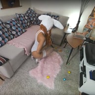 Catch The Bunny Bluelah AllVRPorn vr porn video