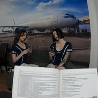 Emily Pink and Madison Quinn Flight Attendants POVCentral vr porn video