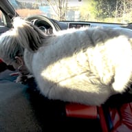 Sabdeluxe - Car Footjob Sabdeluxe VR vr porn video