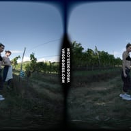 Josie And Sofie On Vacation In Italy Naked In Wine Vineyard During Harvest Time VRgoddess vr porn video