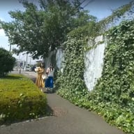 Pick Up Fuck We Found a Pretty Young College Grad and Decided to Tease Her Outdoors Raw Fuck and Creampie EAGLE vr porn video