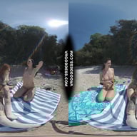 3 Babes Naked On Vacation Beach Picnic Playing Frisbee Searching For Shells And Bubble VRgoddess vr porn video