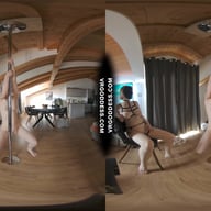Ingrida Giving Private Strip Show Pole Dance Show For Anonymous Masked Big Boobed Girl Diana VRgoddess vr porn video