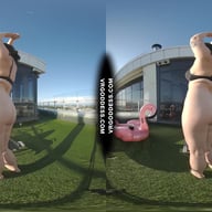 Vanessa Klein Jilling With Some Big Dildos For Deep Penetration Rooftop Bubble Sunbathing VRgoddess vr porn video