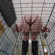 Facesitting Domination - Mx Bambi porn