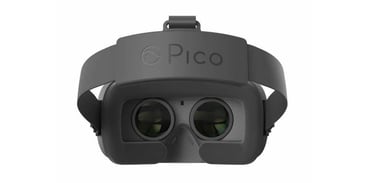 Pico Goblin VR Headset Will Be Great for VR Porn
