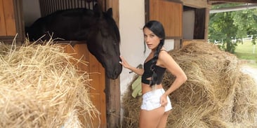 Fuck Under the Sun in 7 Outdoor VR Porn Videos