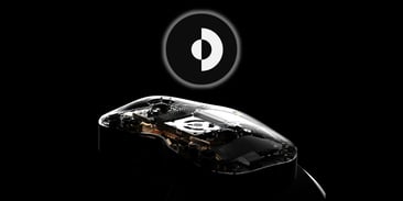 A Wild Lynx Appears!