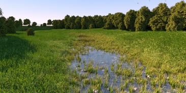 Beautiful Private Virtual Garden