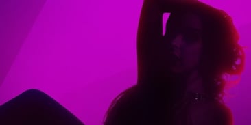 VRLove: A Gamified Pornstar Girlfriend Experience