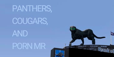 Panthers, Cougars, and Porn MR