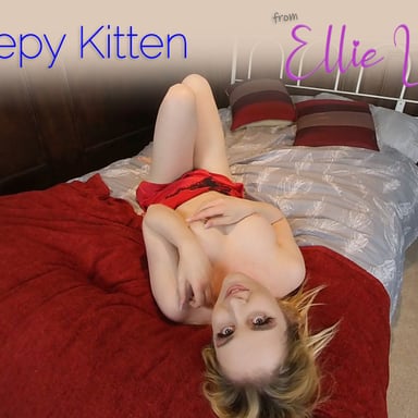 Sleepy Kitten Ellie Louise vr porn video vrporn.com virtual reality