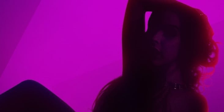 VRLove: A Gamified Pornstar Girlfriend Experience