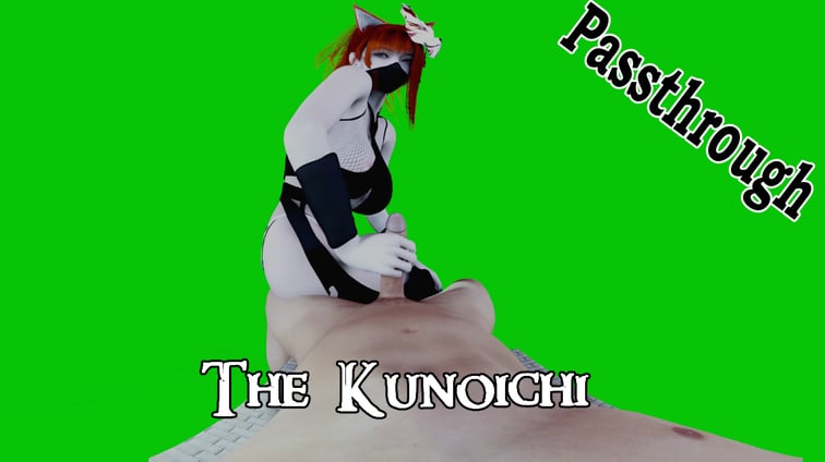 The Kunoichi [Passthrough]  AfterDarkVR vr porn video