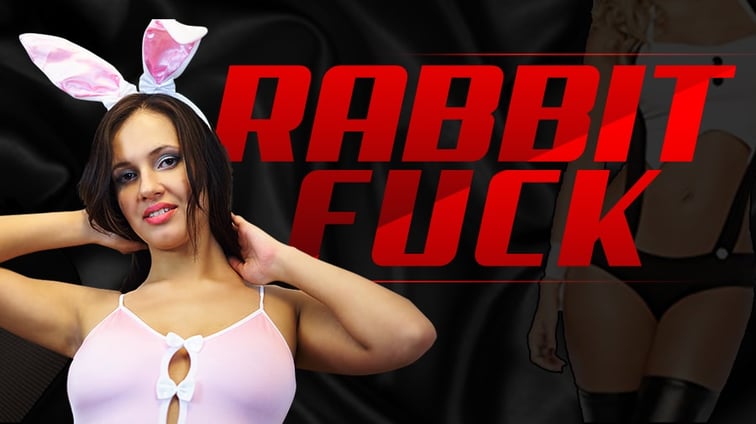 Rabbit Fuck - Hot Babe in Bunny Costume Miss K VR Conk vr porn video