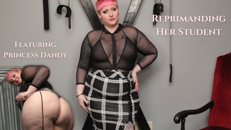 Reprimanding Her Student Princess Dandy BlushErotica vr porn video