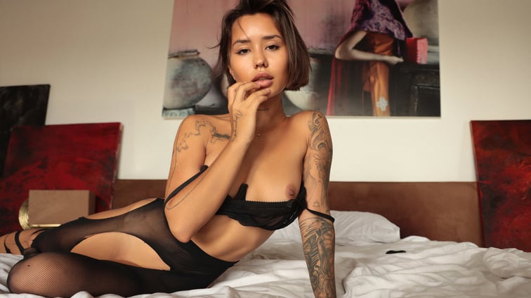 Walk On The Wild Side Katrin Gee StasyQVR vr porn video