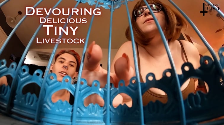 Devouring Delicious Tiny Livestock Jane Judge, Kane Fawkes Jane Judge vr porn video
