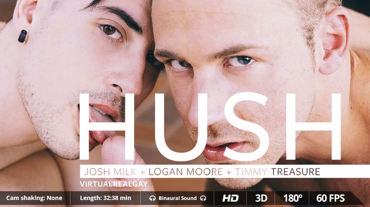 [Gay] Hush Logan Moore Logan Moore, Timmy Treasure VirtualRealGay vr porn video