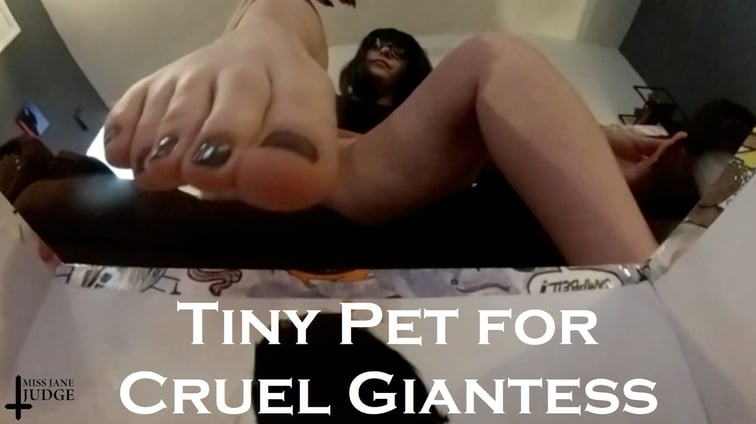 Tiny Pet for Cruel Giantess Jane Judge Jane Judge vr porn video