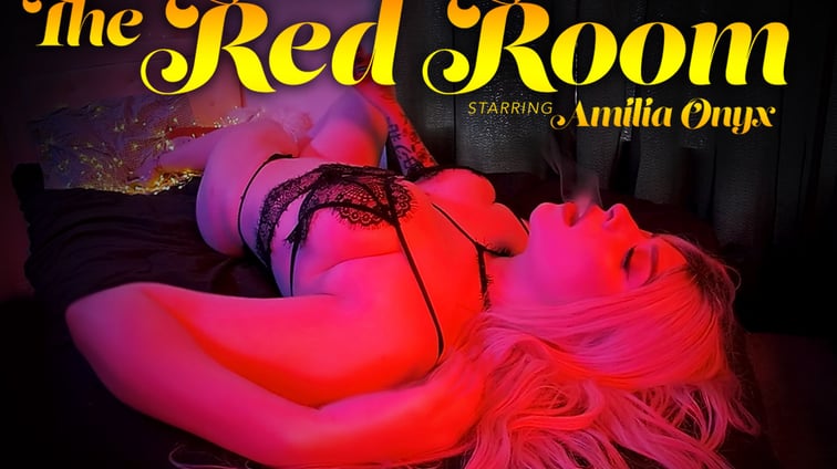 The Red Room Amilia Onyx VR Fan Service vr porn video