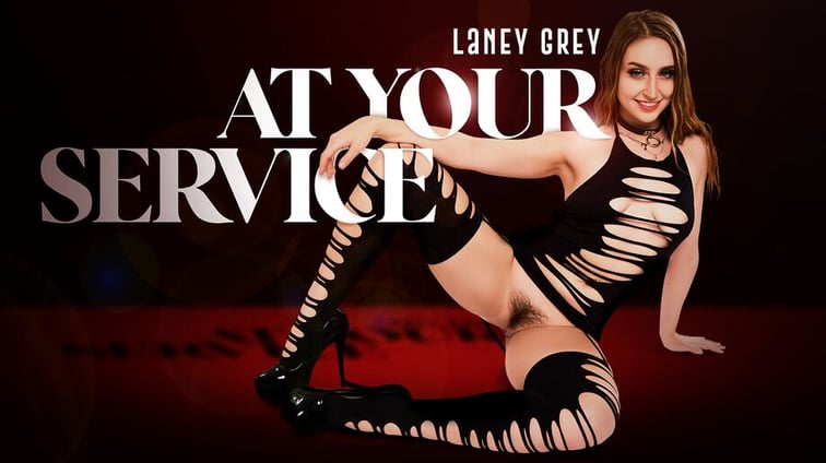 At Your Service Laney Grey BadoinkVR vr porn video